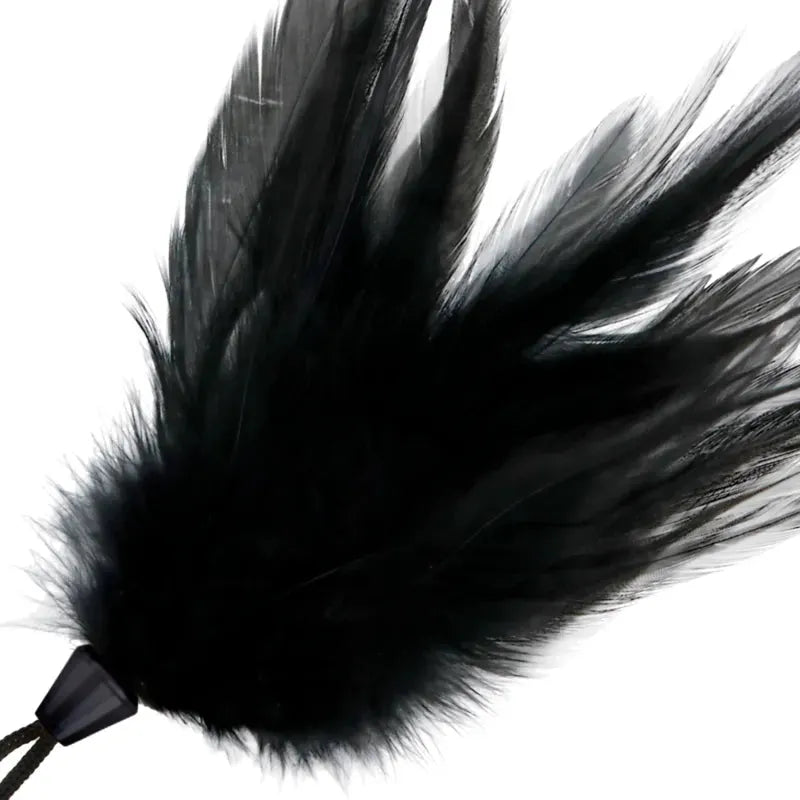 accessoire BDSM plume noire sensations érotiques préliminaires chatouillement douceur peau longueur vingt centimètres poignée ergonomique débutants passionnés sophistication élégance