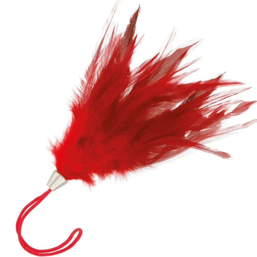 Accessoire BDSM Plumes Rouges Darkness Sensuel Érotique Stimulant Délicat Longue Manche Ergonomique 20cm Haute qualité Raffiné Élégant Intense