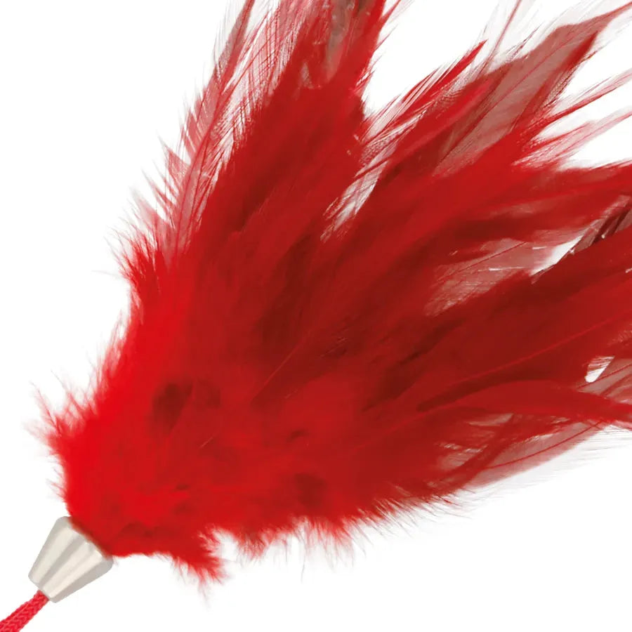 Plume rouge BDSM Darkness, manche ergonomique 20cm, accessoire érotique raffiné pour jeux sensoriels intenses.