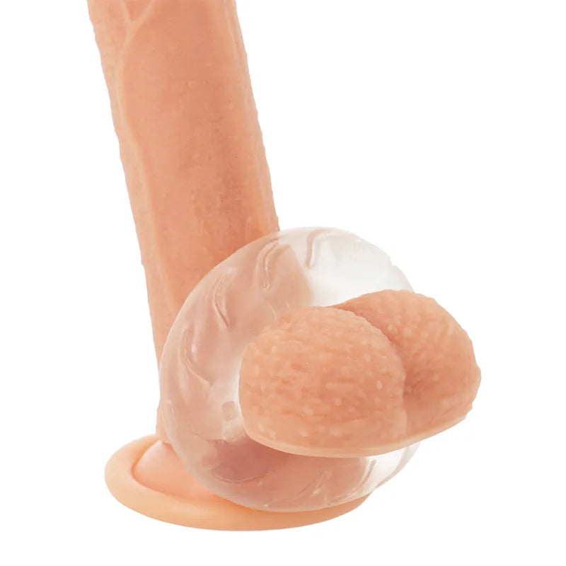 Anneau pénien transparent en TPE hypoallergénique, extensible, sur mannequin, améliore érection, compatible lubrifiants aq...
