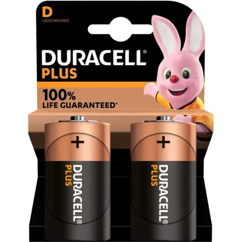batteries alcalines Duracell taille D haute puissance fiable longue durée Duralock conservation charge dix ans paquet deux unités