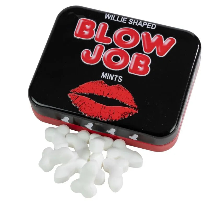 Bonbons menthe sans sucre boîte réutilisable quarante huit pastilles fraîcheur haleine portable écologique élégant compact cadeau pratique faible calories