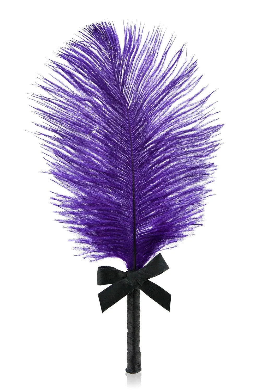 Plume chatouilleuse violette avec manche noir et nœud, accessoire sensuel de la box érotique trilogie Anna.