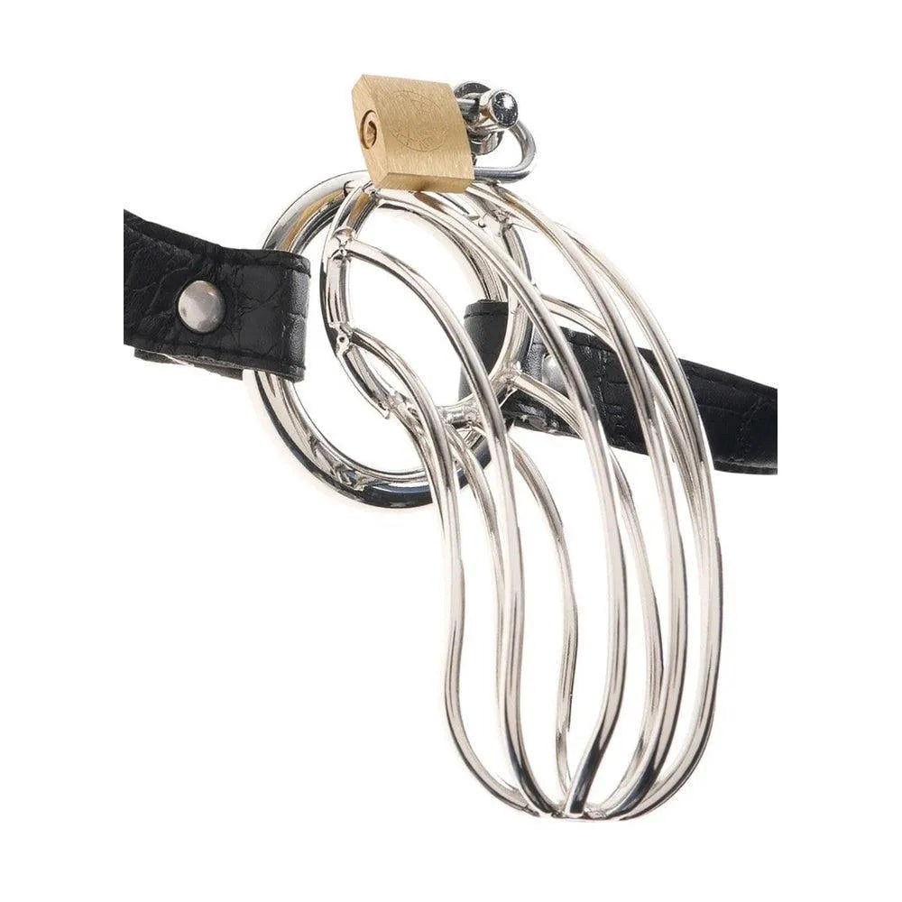 cage pénis acier inoxydable poli main ceinture cuir serpent réglable taille insertion quinze centimètres diamètre trois virgule cinq centimètres discret