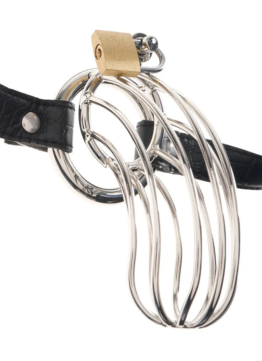 Cage pénis en acier inoxydable poli avec ceinture cuir serpent réglable, 15 cm, Ø 3,5 cm, design discret et élégant.