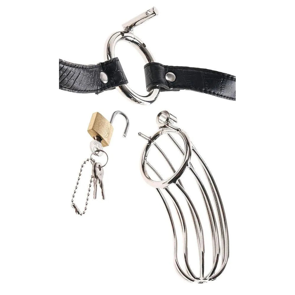 Cage pénis acier inoxydable poli, ceinture cuir serpent réglable, cadenas avec clés, design discret et élégant.