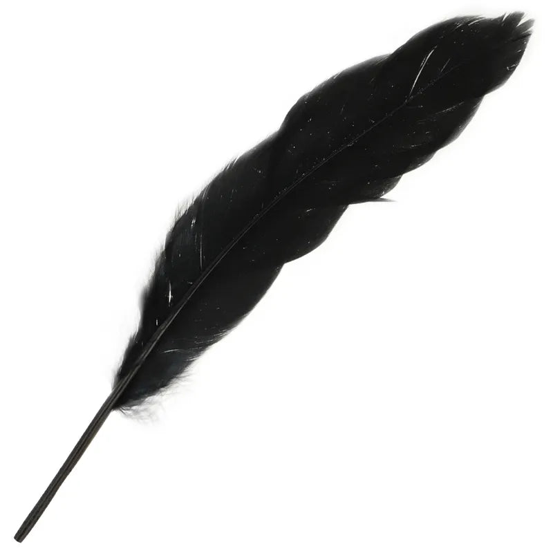 Plume noire sensuelle du coffret Ohmama pour couples, accessoire romantique pour éveil des sens et complicité intime.