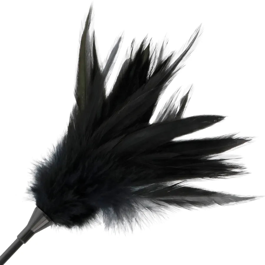 Cravache BDSM double face avec plume noire douce, manche ergonomique, longueur 48cm, pour stimulation sensorielle.