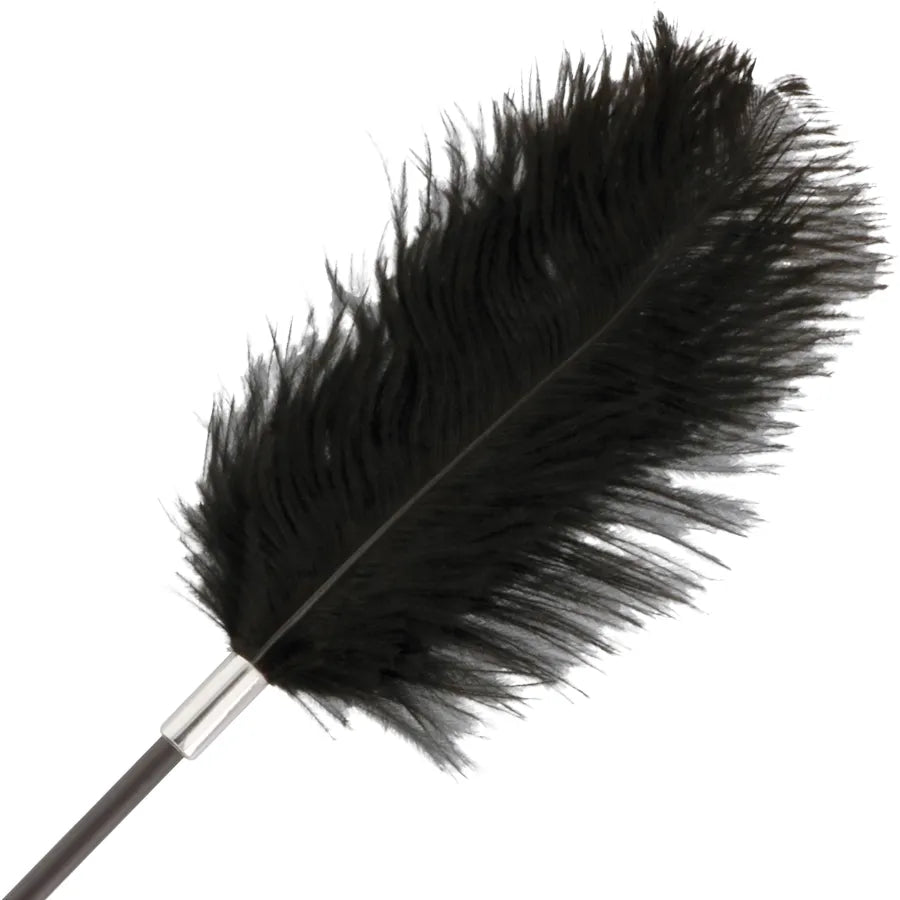Cravache BDSM double face avec plume noire élégante, 56cm, manche confortable, pour caresses sensuelles et intenses.