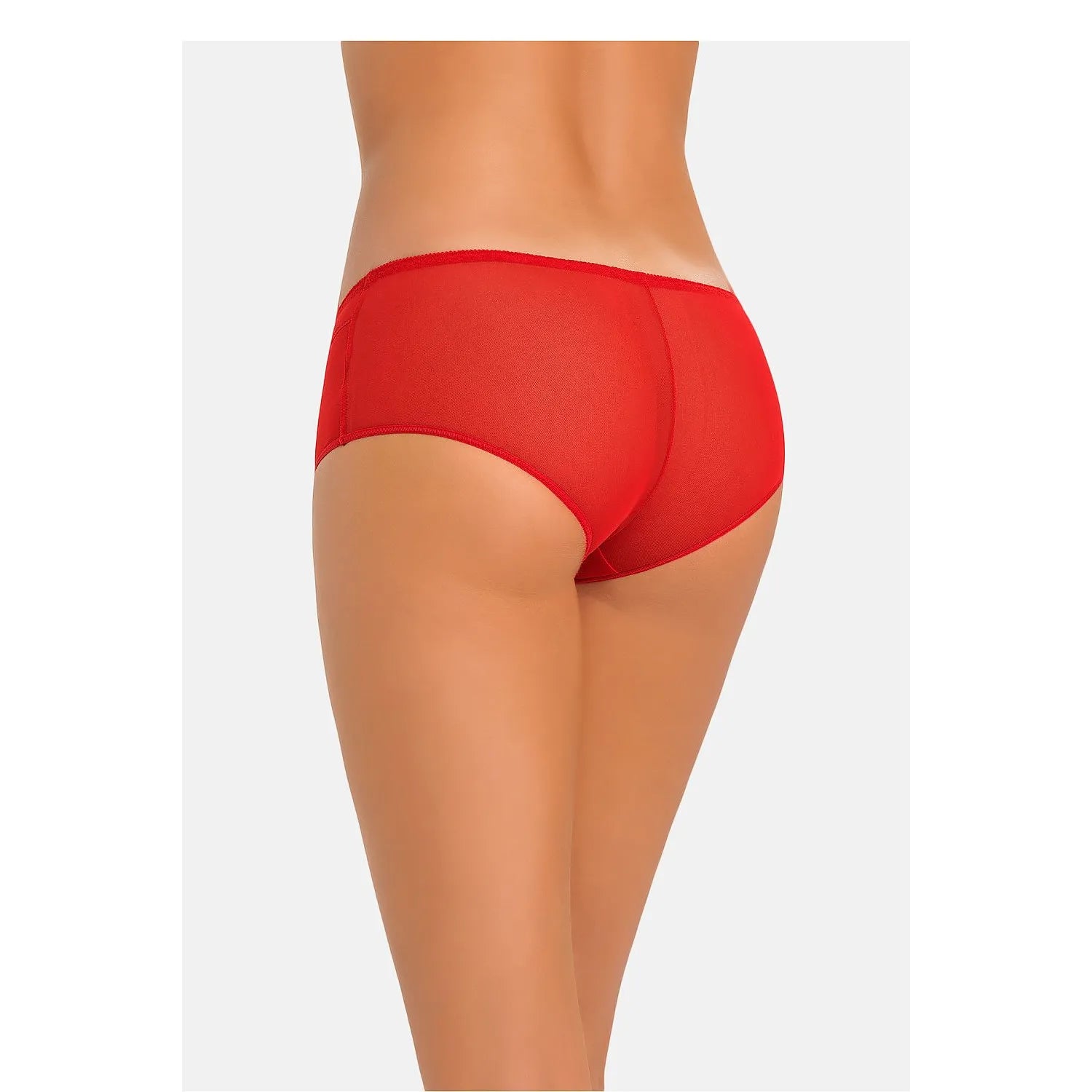 Culotte rouge en filet transparent, taille moyenne, coupe classique, élégante et confortable, vue arrière.
