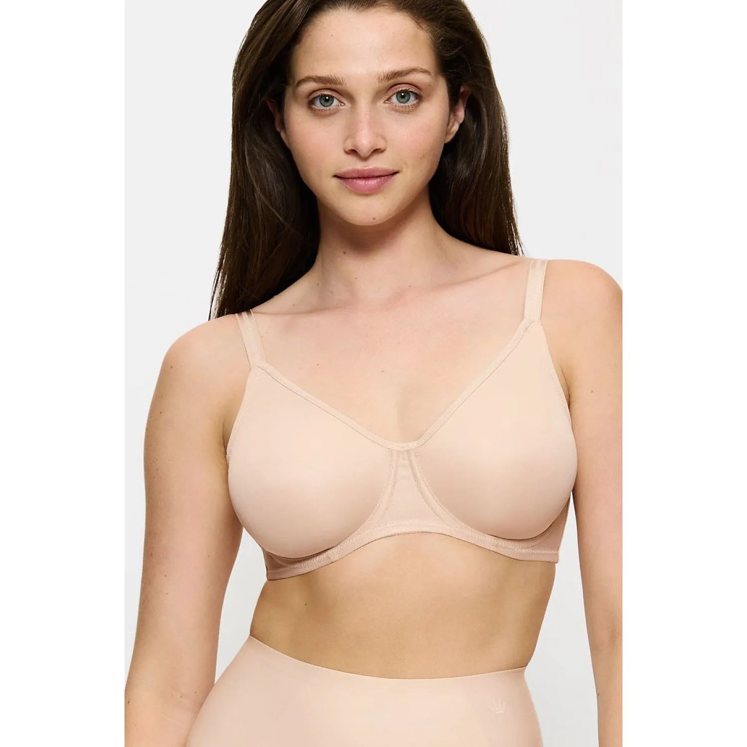 Soft model 229362 Triumph