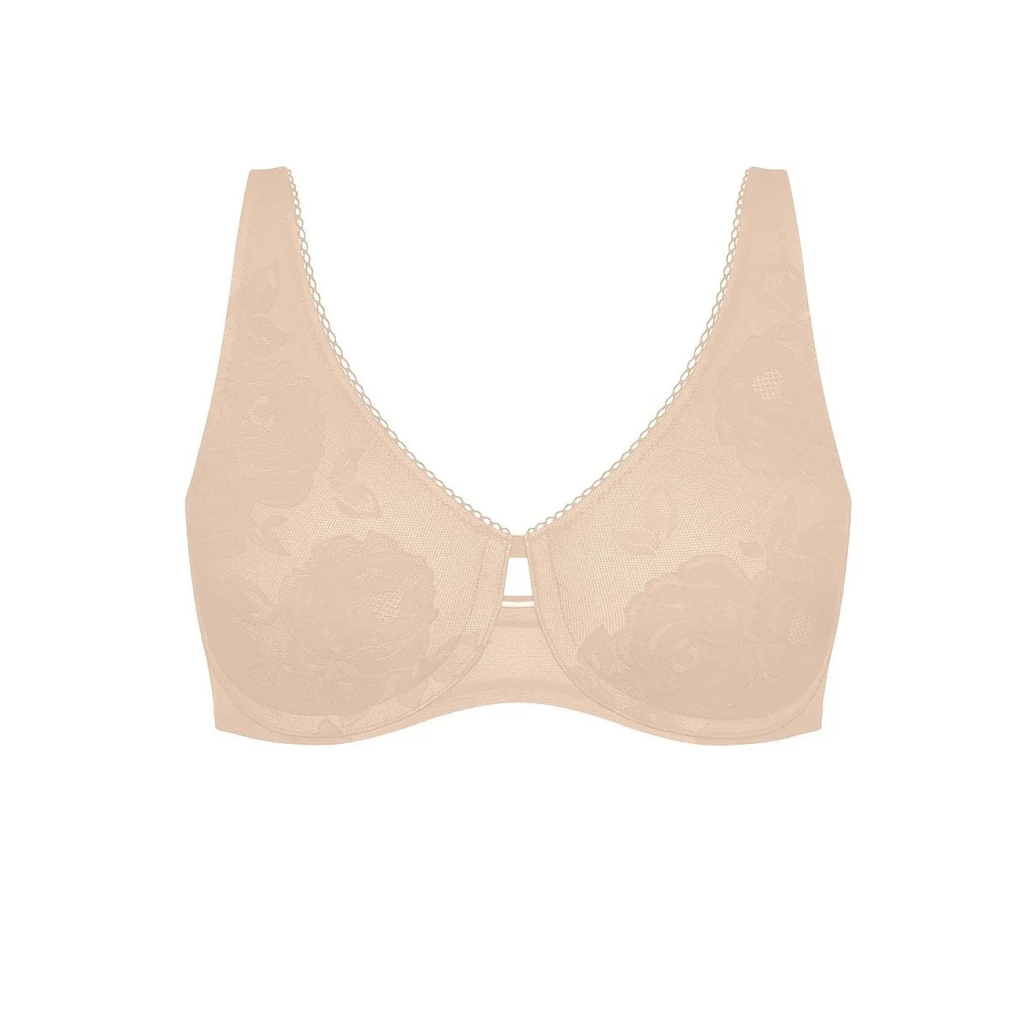 Soft model 229497 Triumph
