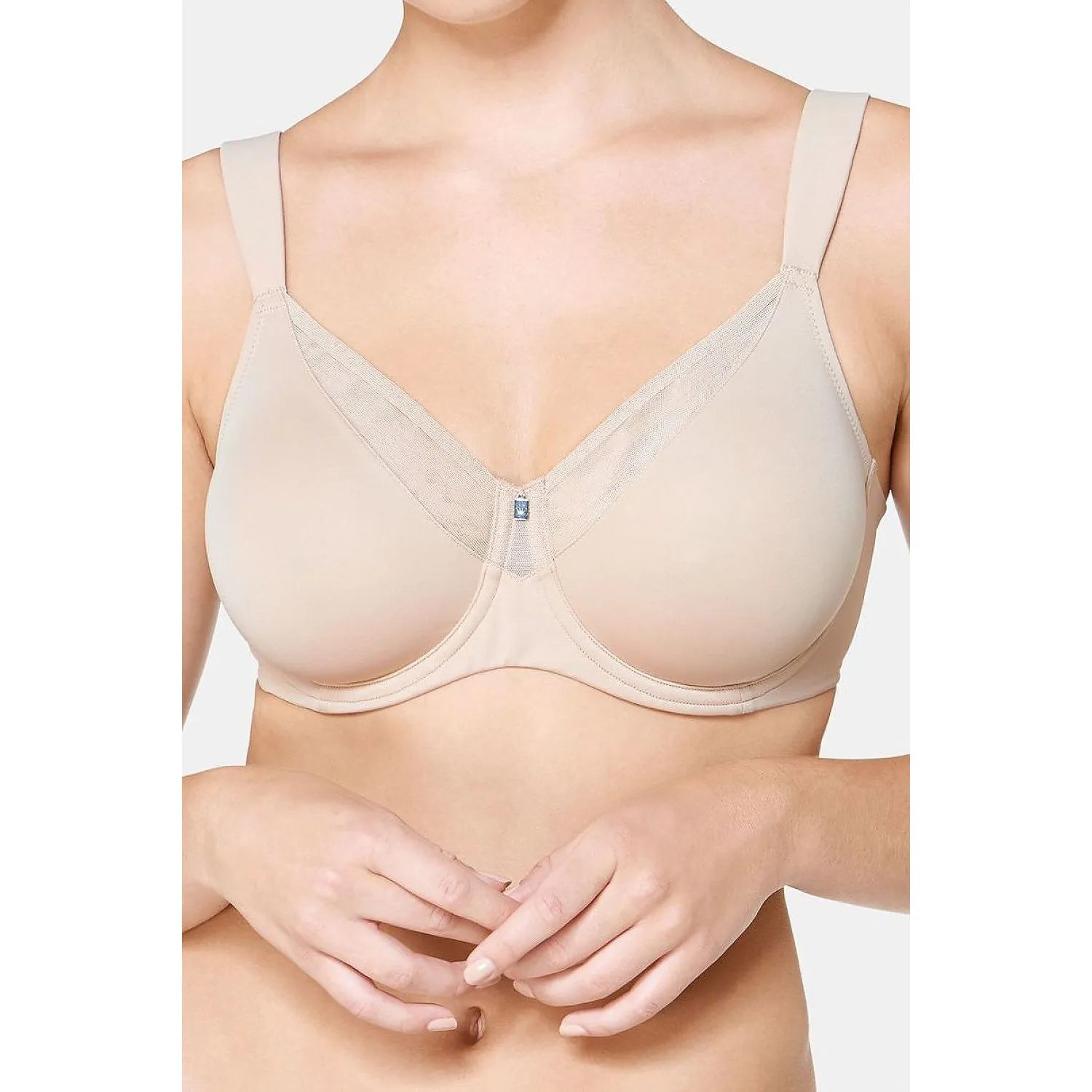 Soft model 229499 Triumph