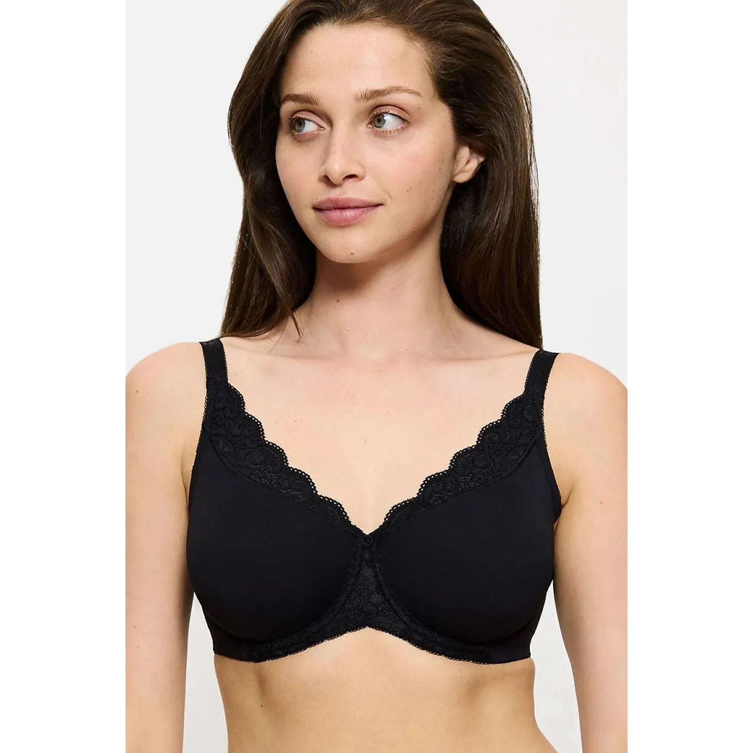 Soft model 229882 Triumph
