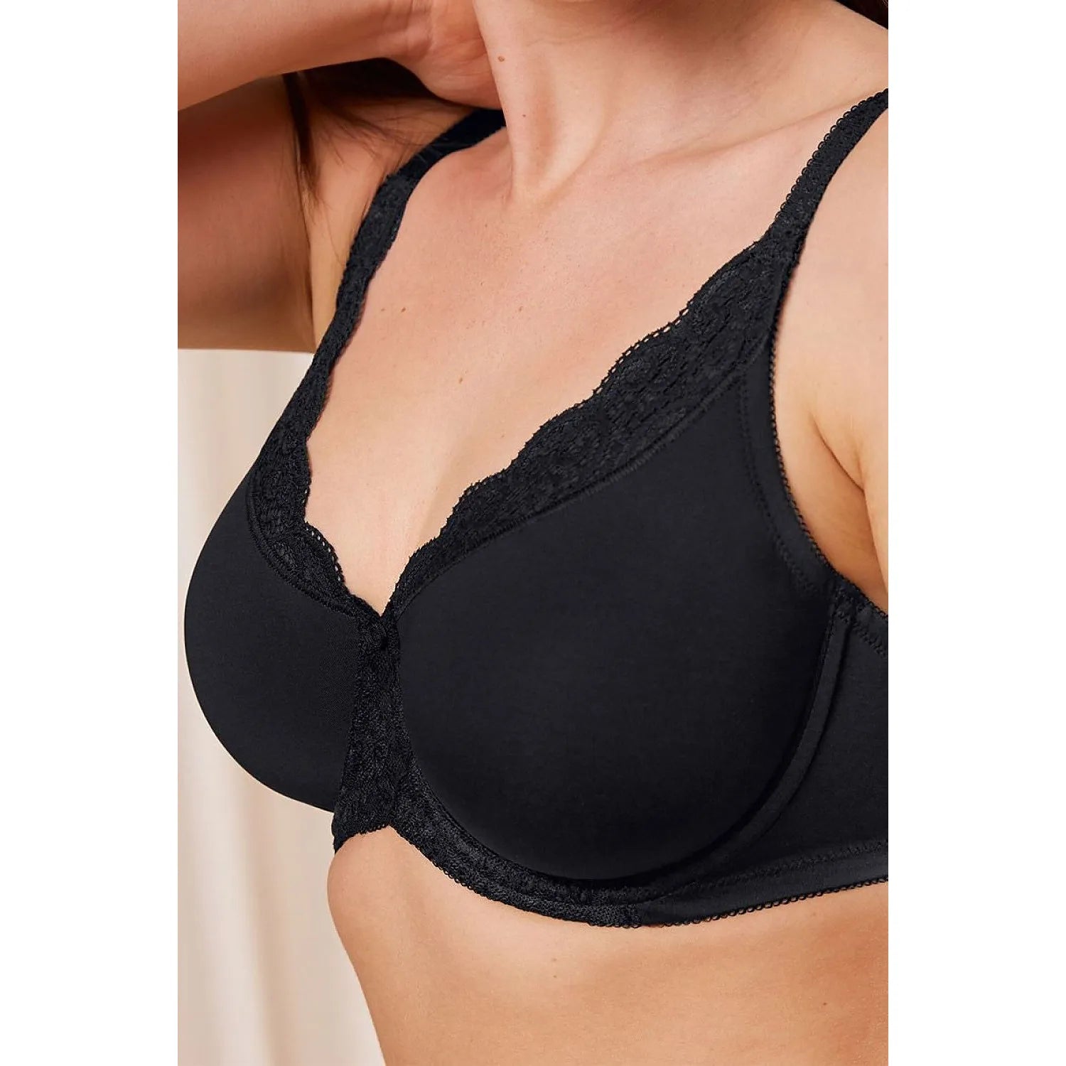 Soft model 229882 Triumph