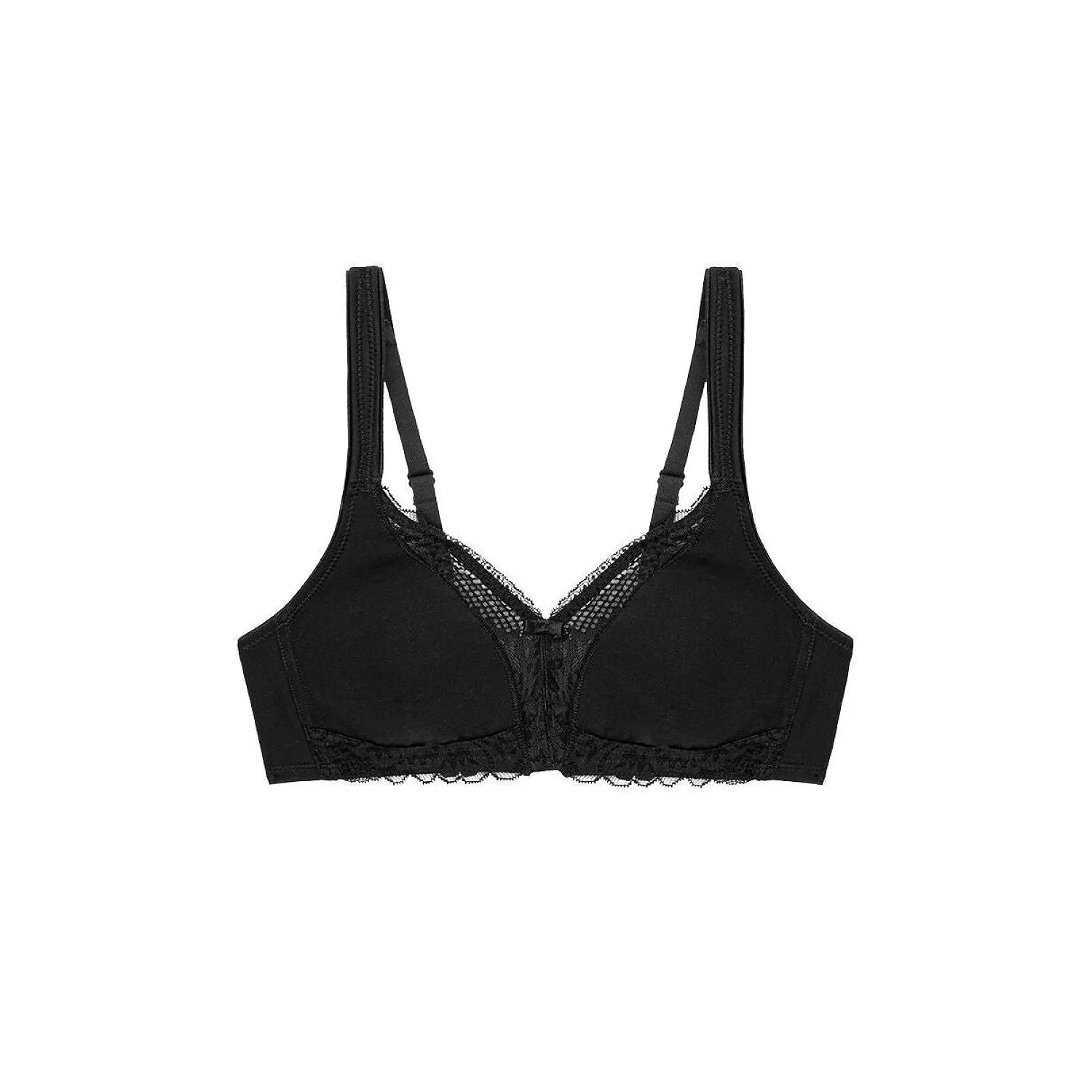 Soft model 229998 Triumph