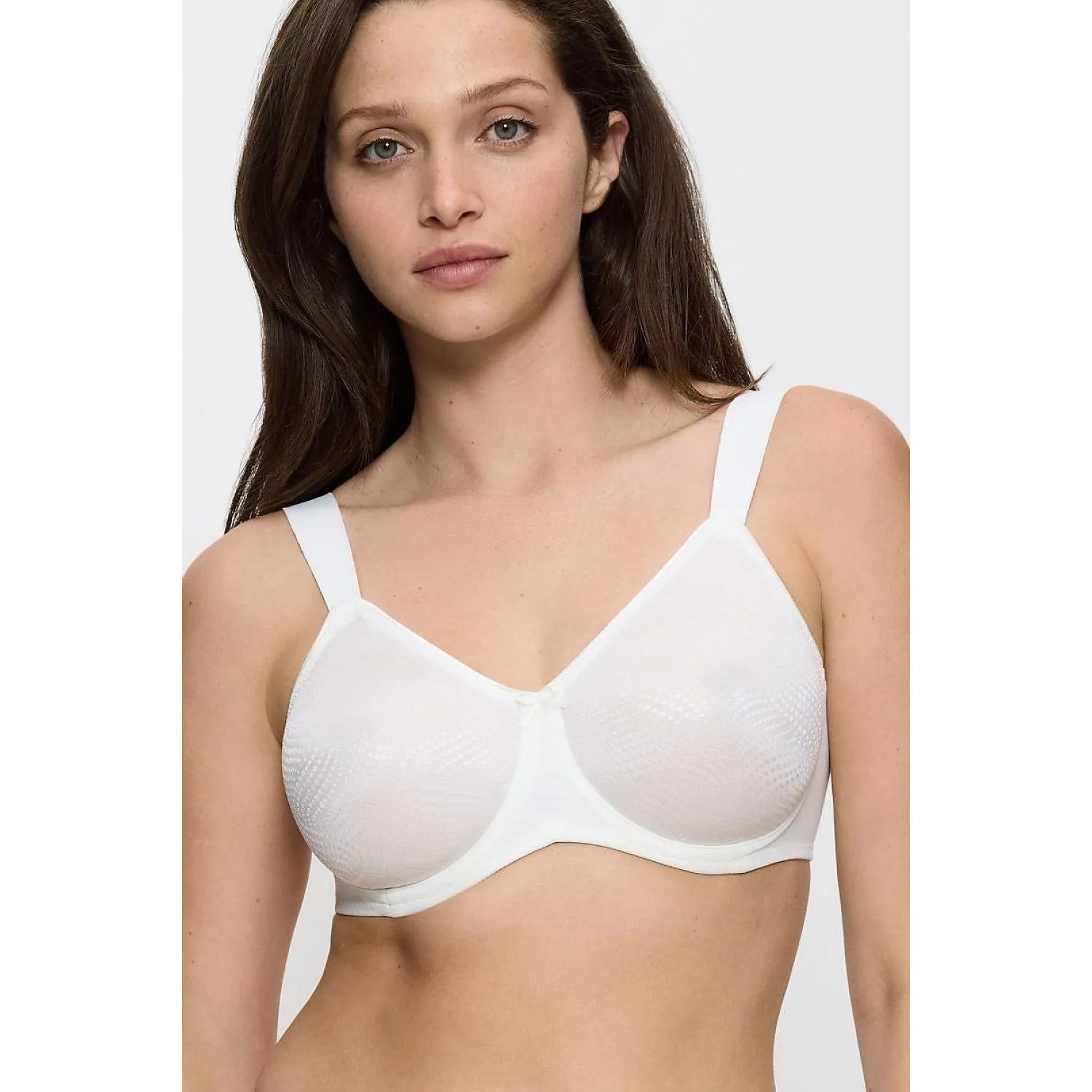 Soft model 230705 Triumph