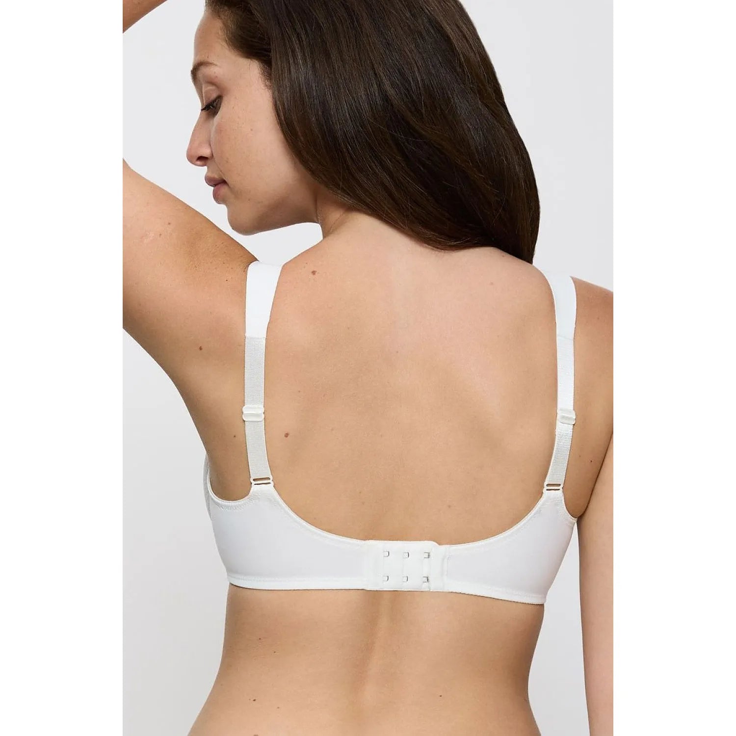 Soft model 230705 Triumph