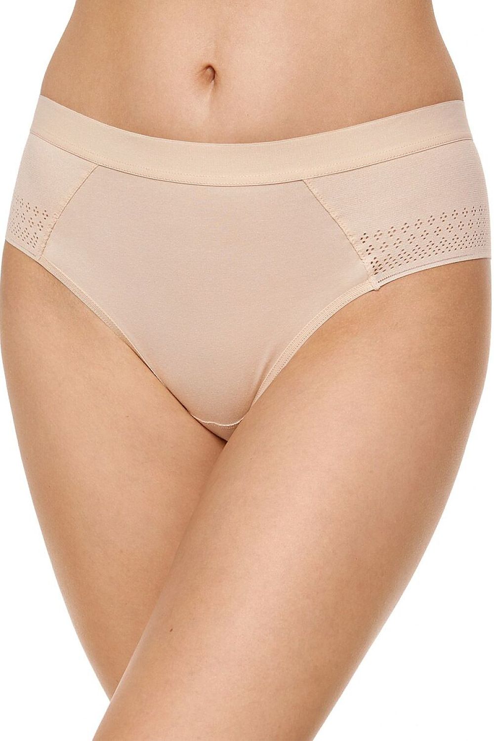 L`ensemble model 231557 Gorteks
