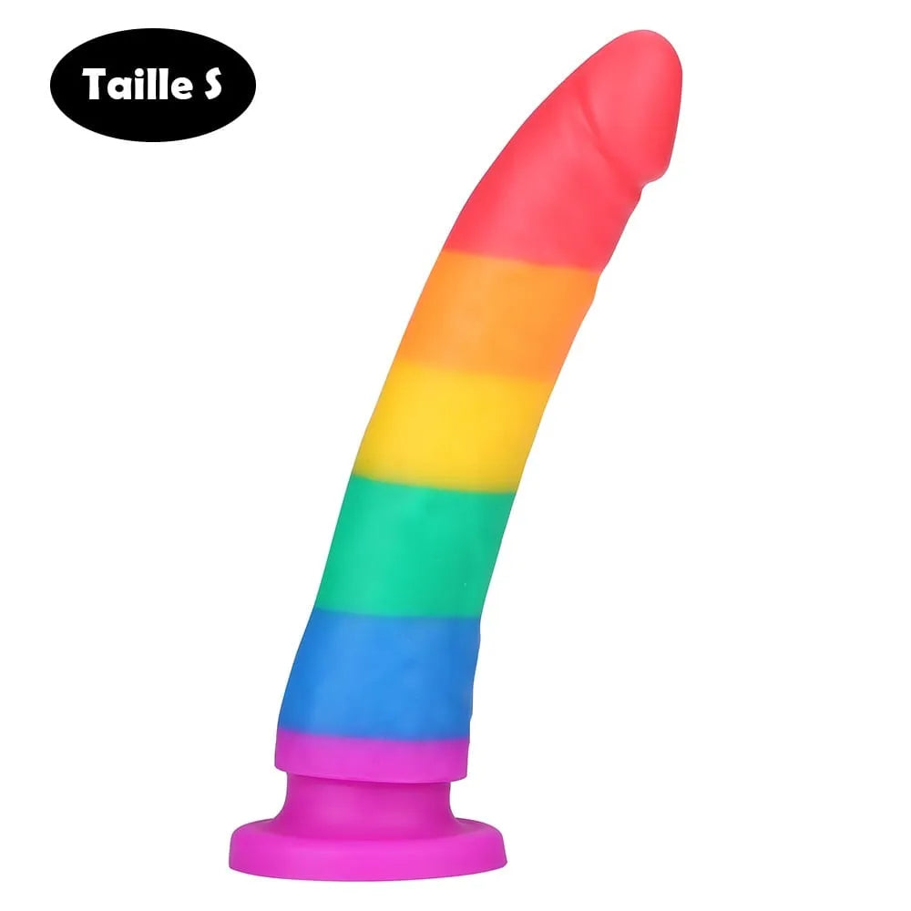 godemichet design coloré silicone hypoallergénique doux lisse formes généreuses stimulation vaginale anale ventouse harnais compatible taille S