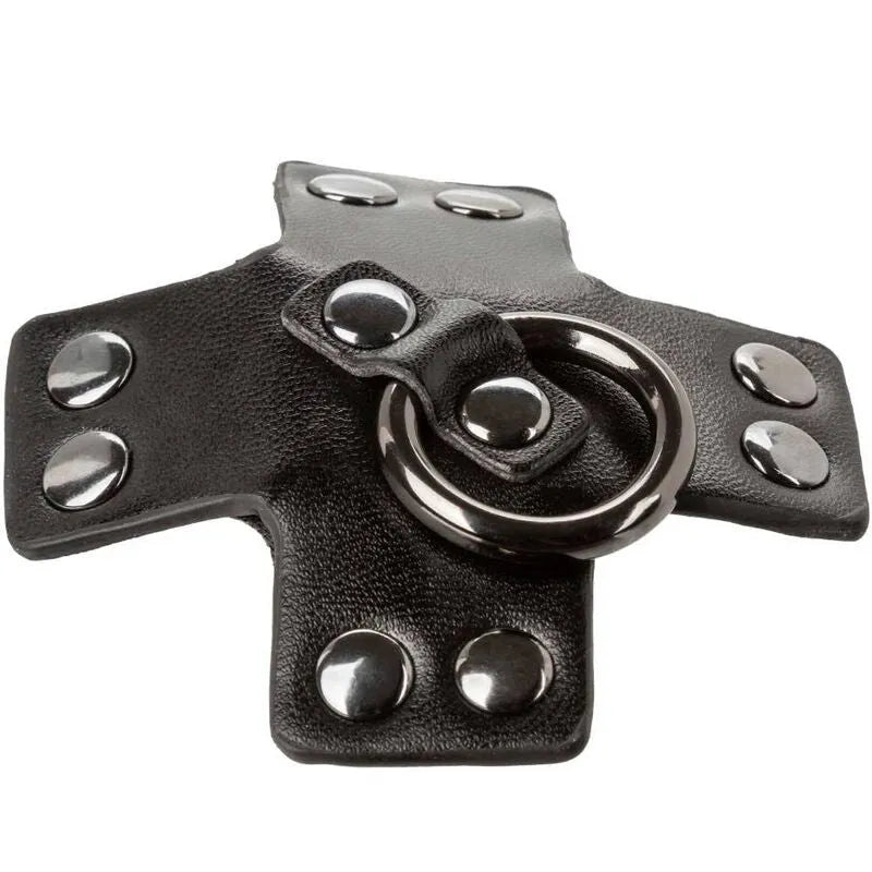 Cache-tétons noir design sophistiqué avec rivets métalliques et joint torique, collection Euphoria, style glamour.