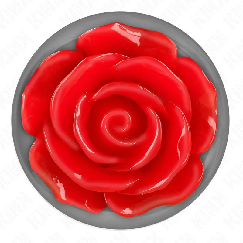 Plug anal métallique rose rouge élégant débutants connaisseurs acier inoxydable hypoallergénique