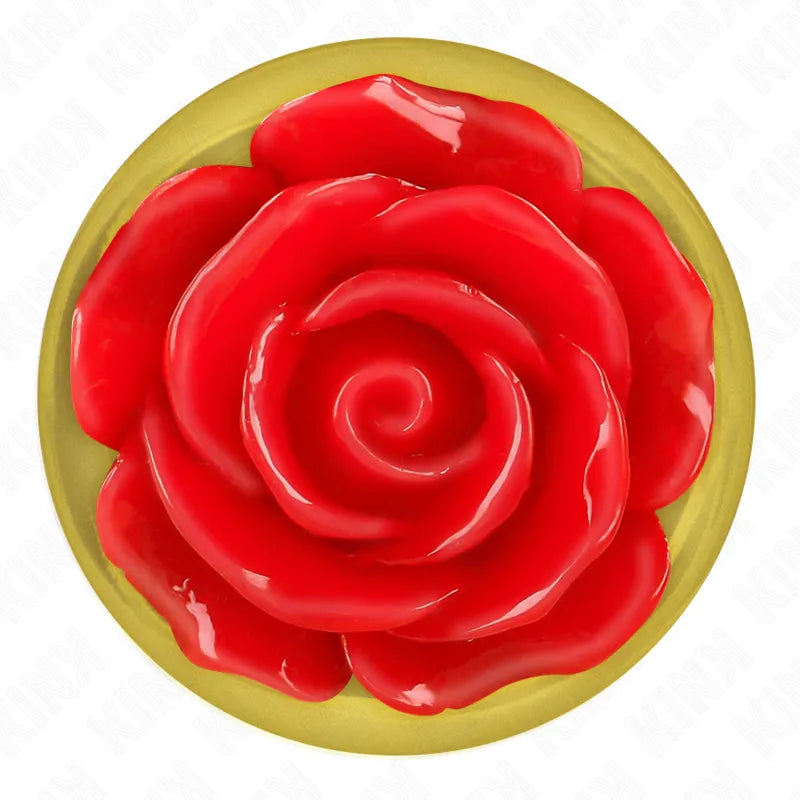 plug anal doré acier inoxydable rose rouge débutants connaisseurs plaisir