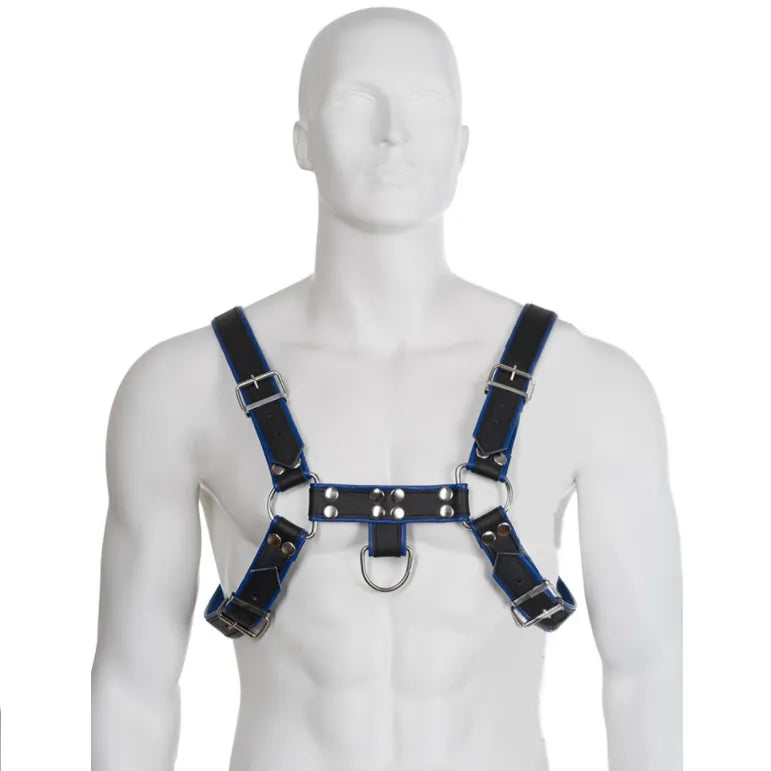 harnais cuir masculin poitrine bulldog bleu noir sangles réglables chaînes métalliques tailles S XL confort ajustable bondage domination esthétique robuste