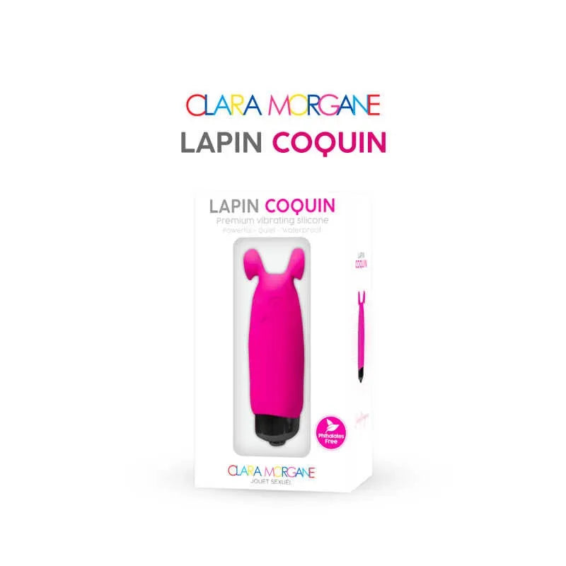 mini vibromasseur rose waterproof silicone compact discret 10 modes vibration clitoridien femmes couples voyage portable ABS sans phtalates 8cm