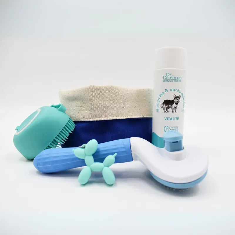 Box chien personnalisée avec shampoing, brosse bleue, porte-clé chien, et tissu élégant, soins canins sur mesure.