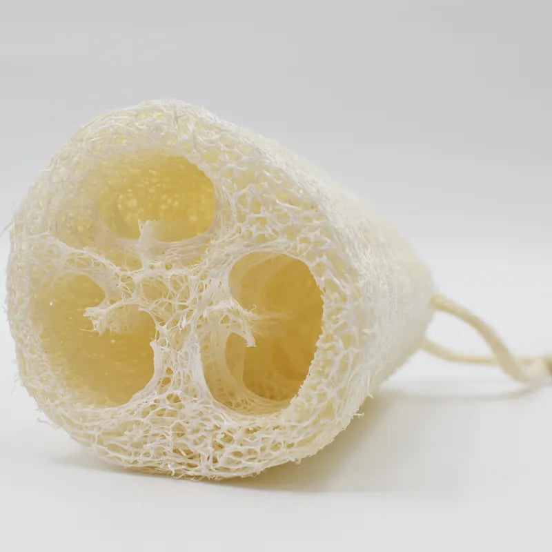 Éponge luffa naturelle exfoliante biodégradable alternative écologique compostable
