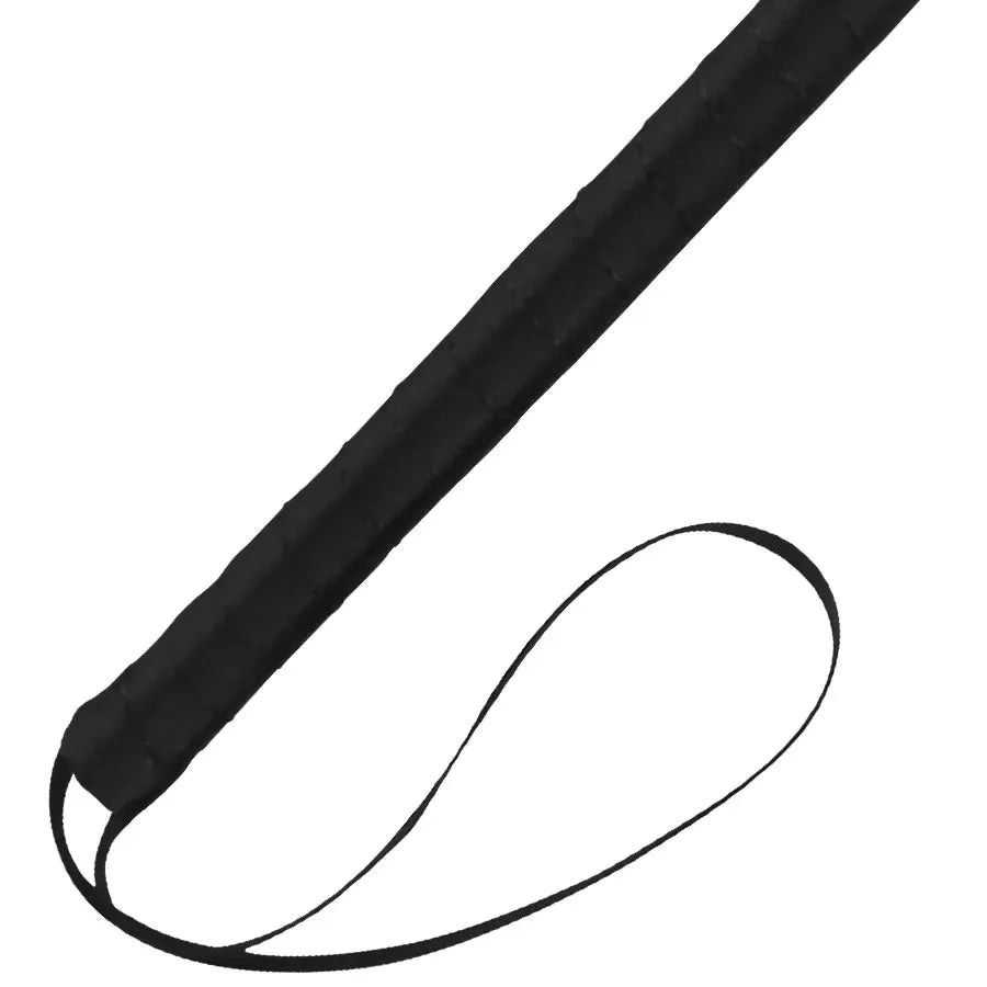 Accessoire BDSM plume noire, manche ergonomique, stimulation sensorielle délicate, idéal pour débutants et experts.