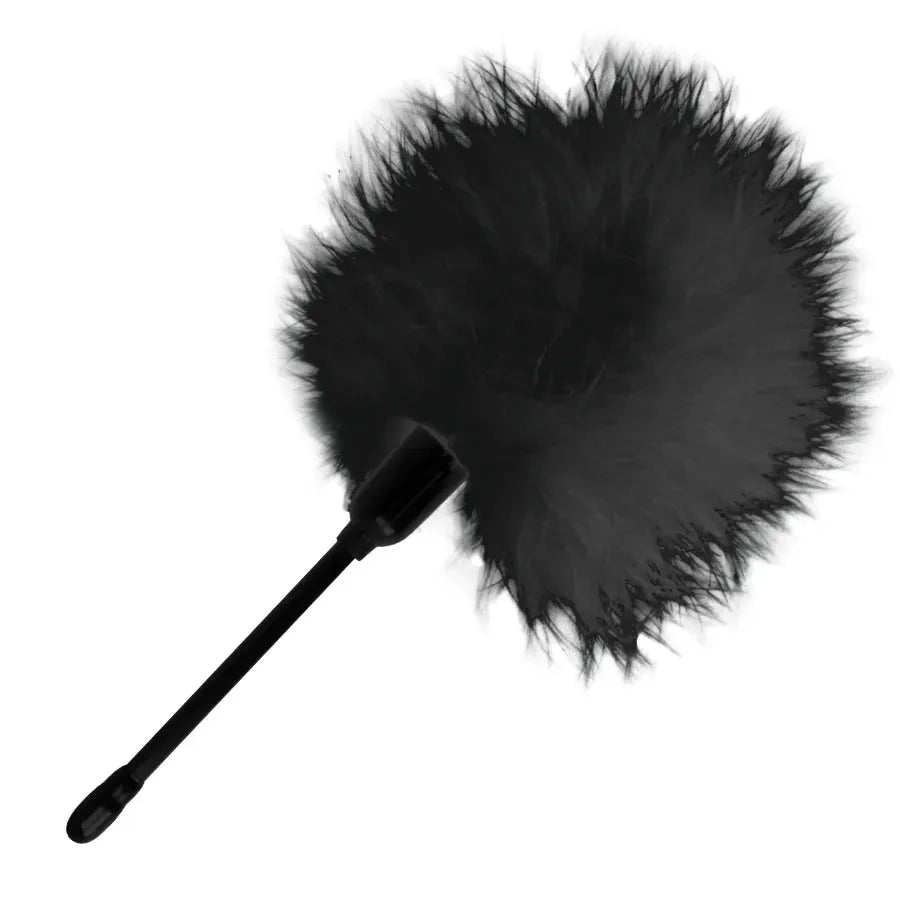 accessoire bdsm plumes noires douceur sensorielle caresses stimulation érotique manche ergonomique longueur vingt centimètres qualité supérieure débutants confirmés fétiche mystérieuse