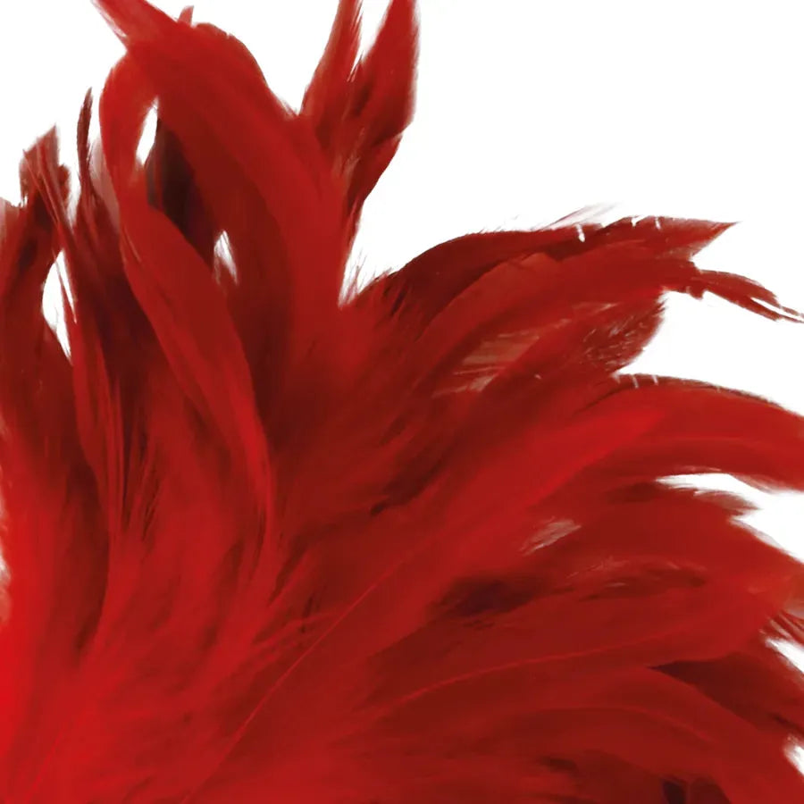Plumes rouges BDSM délicates, stimulation sensorielle, poignée ergonomique, accessoire érotique pour préliminaires.