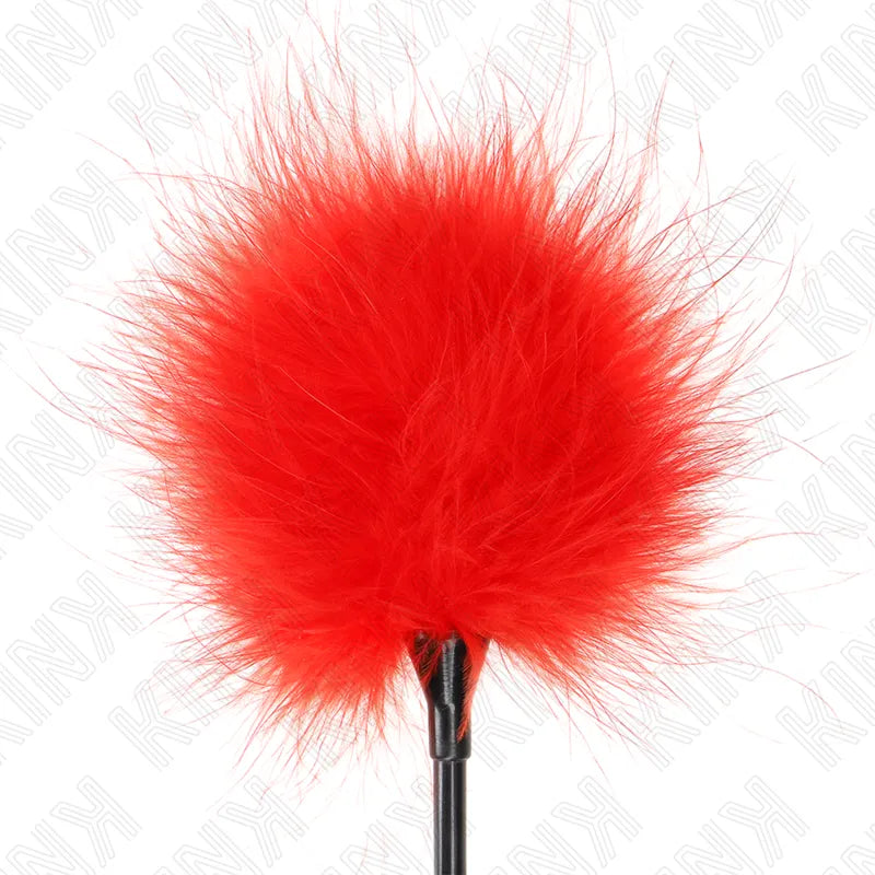 Accessoire BDSM en cuir noir avec plume rouge, design élégant et sophistiqué, pour expériences intimes intenses.