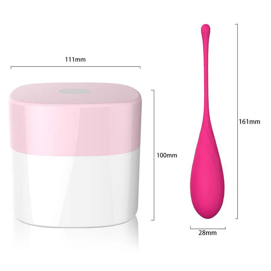 Boules de Geisha en silicone rose, forme ovale, avec boîte de rangement, pour renforcement pelvien et bien-être intime.