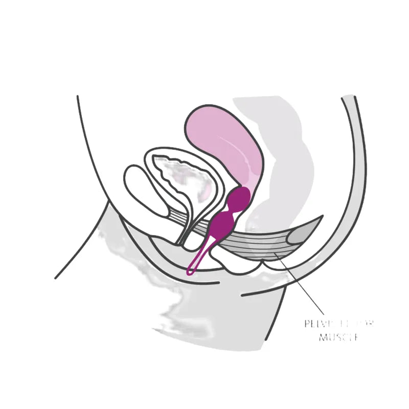 Boule Geisha double en silicone violette, ergonomique, pour entraînement pelvien, vue anatomique, design discret.