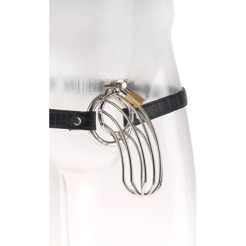 Cage pénis acier inoxydable poli avec ceinture cuir motif serpent réglable, longueur 15 cm, diamètre 3,5 cm.