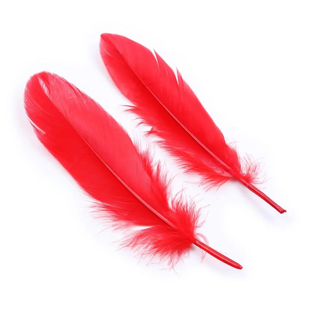Coffret coquin avec menottes fourrure rouge, masque noir élastique, plumes rouges duvet, clés argentées.