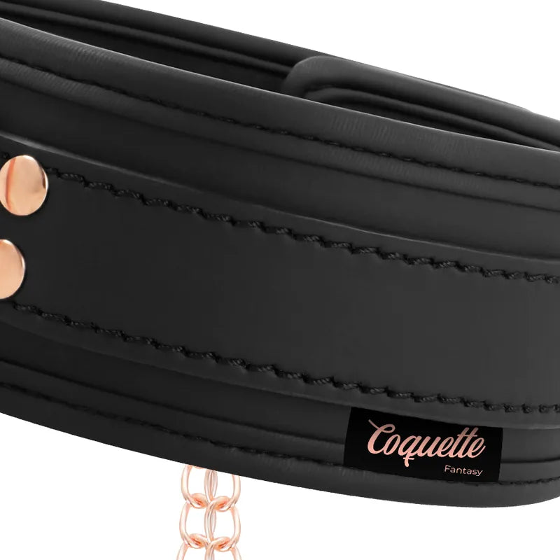 Collier BDSM cuir vegan noir avec chaînes métalliques et pinces à tétons, anneau robuste et laisse amovible.