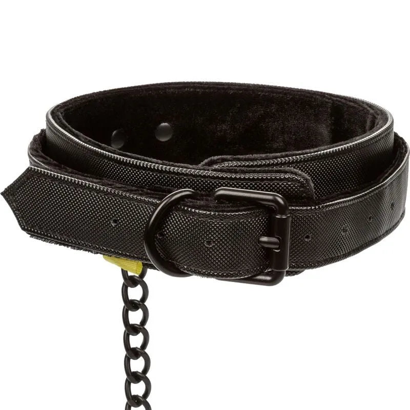 Collier BDSM cuir végétalien noir, intérieur moelleux, boucle robuste, laisse chaîne métal, design élégant et éthique.