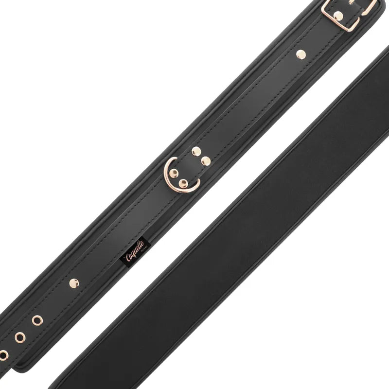 Collier BDSM noir en cuir végétalien, boucle ajustable, chaîne métal sans nickel, design élégant et robuste.