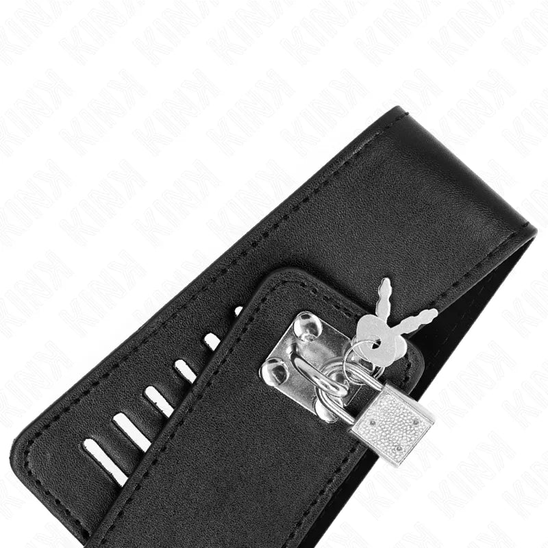 Collier BDSM en cuir noir, élégant et robuste, avec boucle réglable et détails métalliques polis pour confort sécurisé.