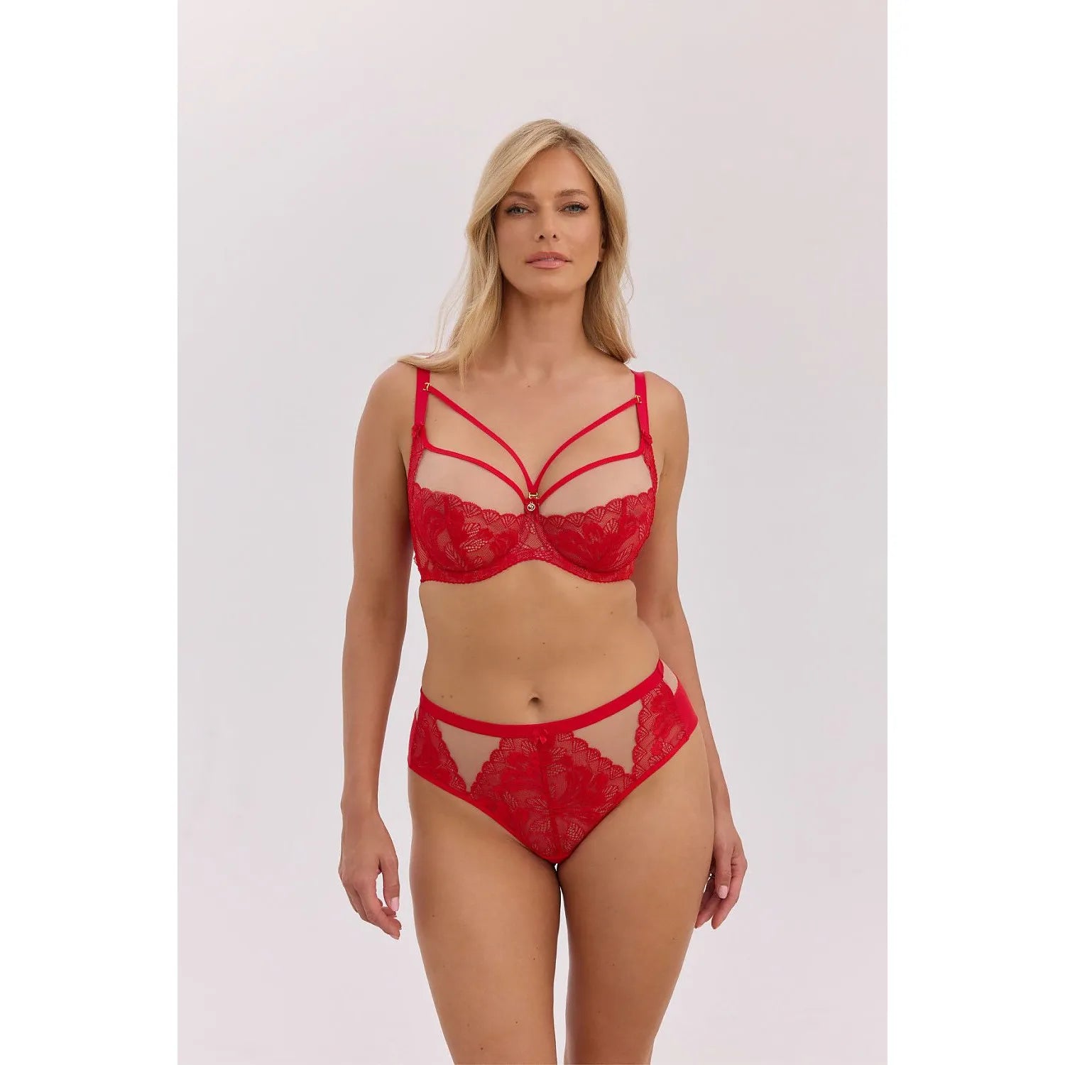  Soft model 222893 Gaia 