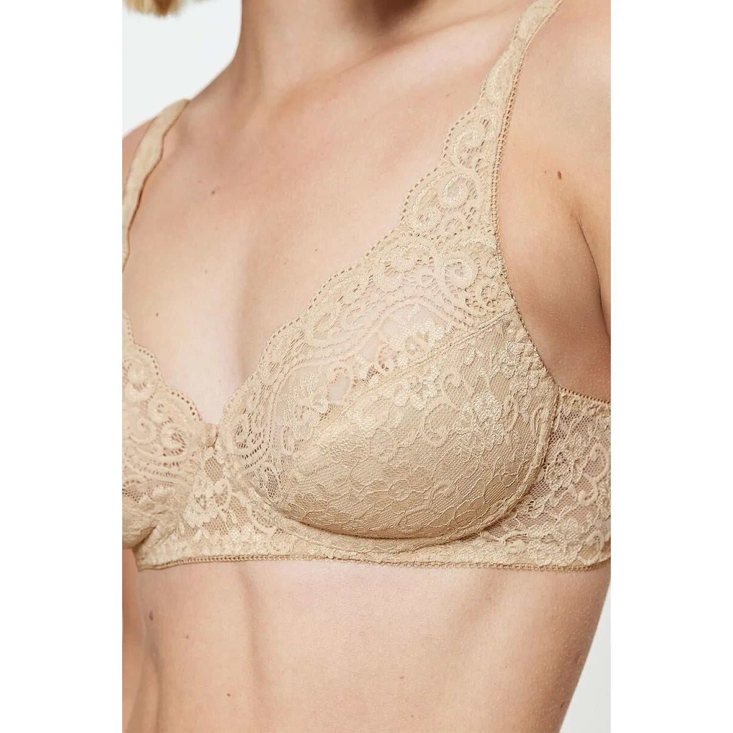  Soft model 229878 Triumph 
