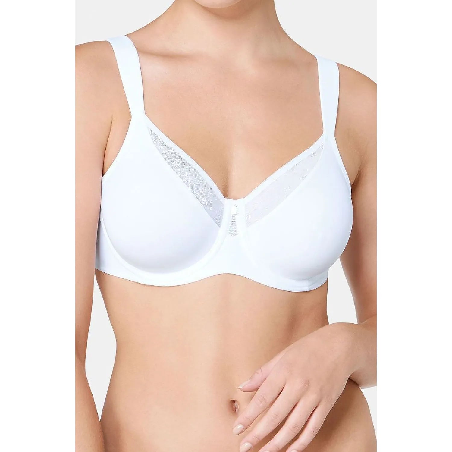  Soft model 229904 Triumph 