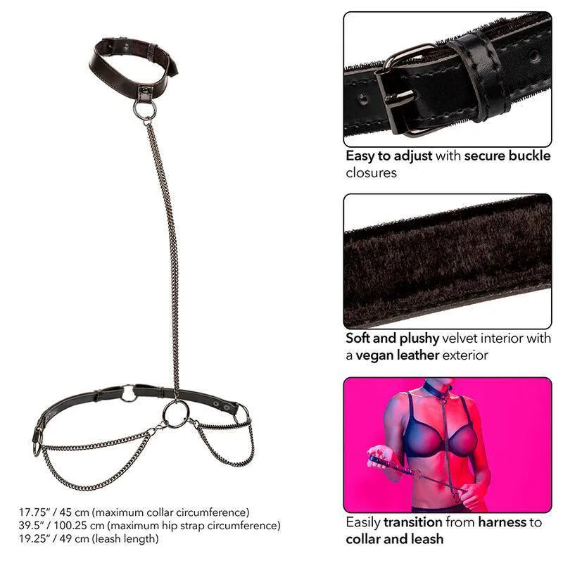 Harnais BDSM cuir végétalien noir, boucles réglables, chaîne métal robuste, intérieur velours doux, design contemporain.