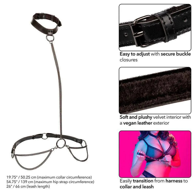 Harnais BDSM cuir végane noir, doublure velours, boucles réglables, chaîne métal, collier laisse inclus, grande taille.