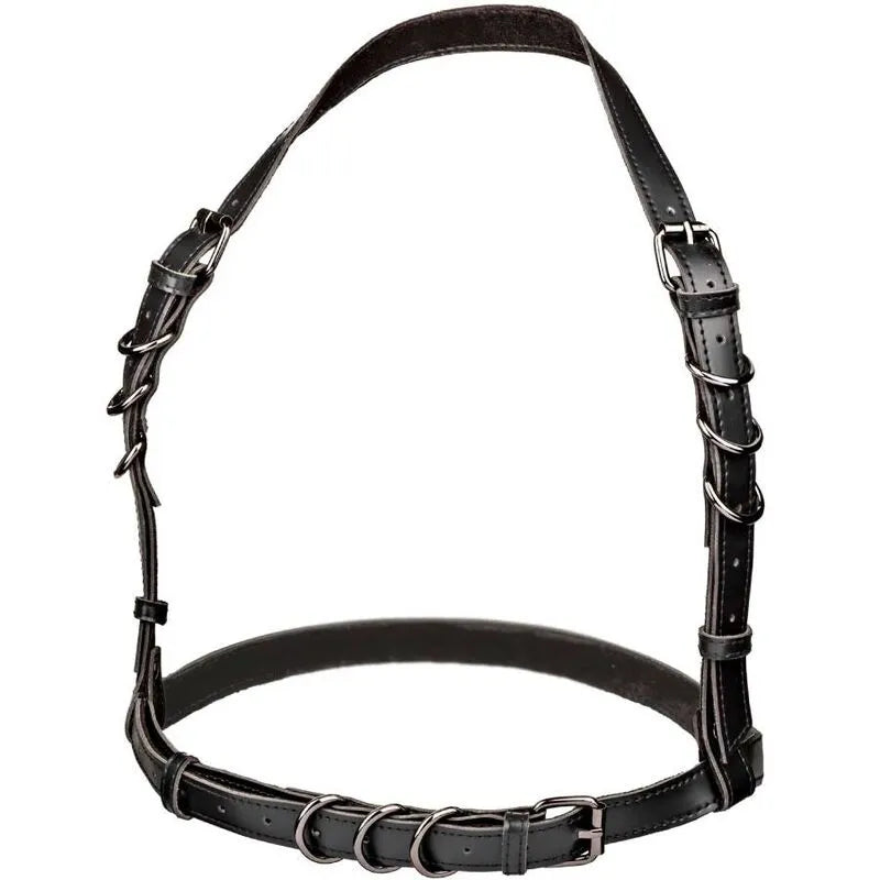Harnais licou cuir végétalien noir taille plus, intérieur velours, boucle réglable, détails métalliques élégants.
