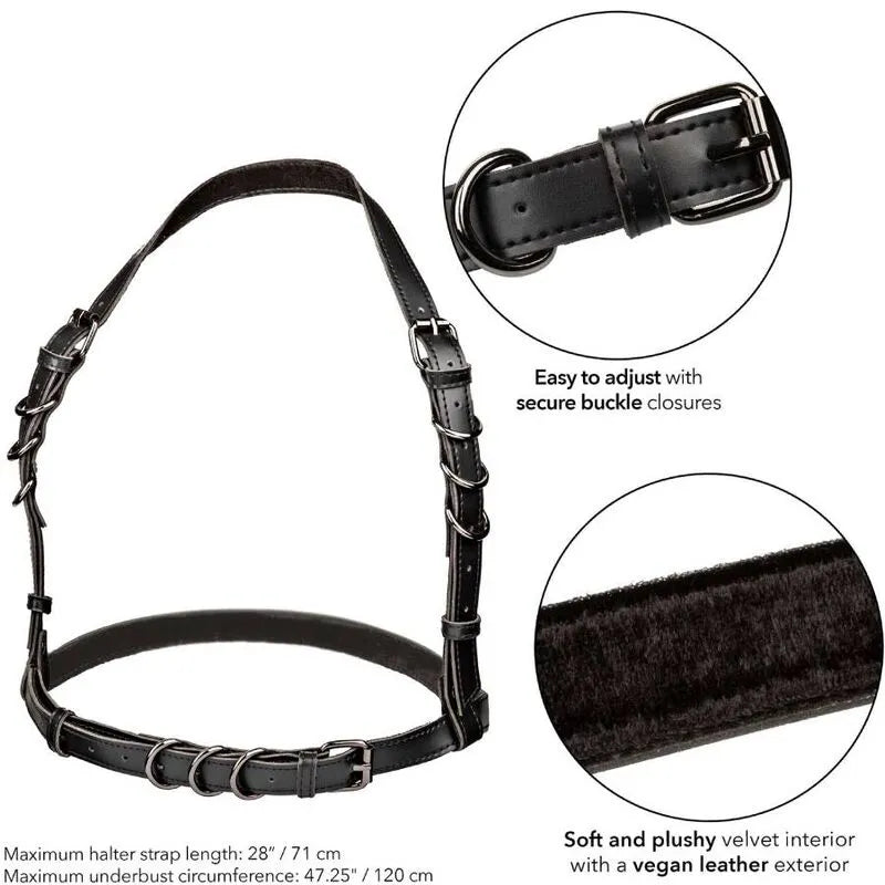 Harnais licou noir en cuir végétalien, intérieur velours, boucles réglables, détails métalliques, taille plus, élégant.